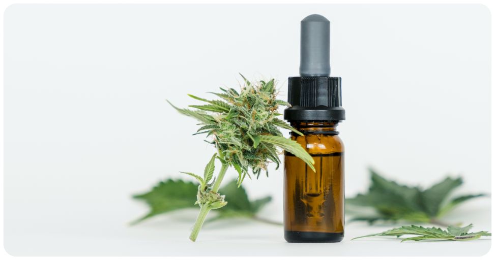 quel cbd contre le stress et l'anxiété